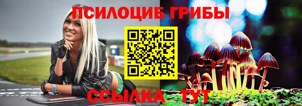 Галлюциногенные грибы Cubensis Калач-на-Дону