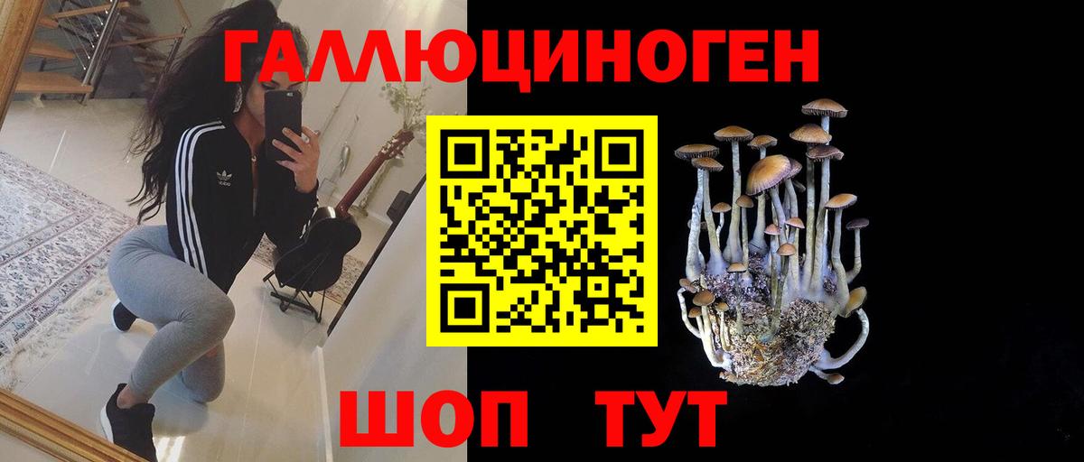 Псилоцибиновые грибы Cubensis  Вход с VPN  наркота  Калач-на-Дону 